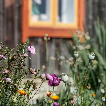 Restored Smallholder's House From 1864 On Helgoya Semesterbostad *
